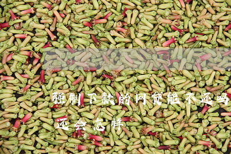 强制下款的网贷能不还吗(强制下款的网贷不还会怎样)