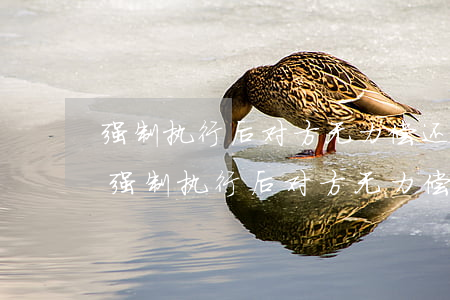 强制执行后对方无力偿还怎么办还会拘留-强制执行后对方无力偿还怎么办还会拘留吗