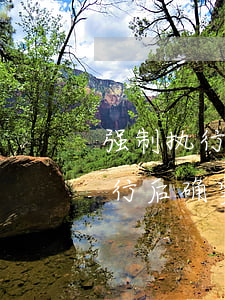 强制执行后确实无力偿还会拘留吗-强制执行后确实无力偿还会拘留吗知乎