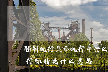 强制执行显示执行中什么意思(强制执行的执行标的是什么意思)
