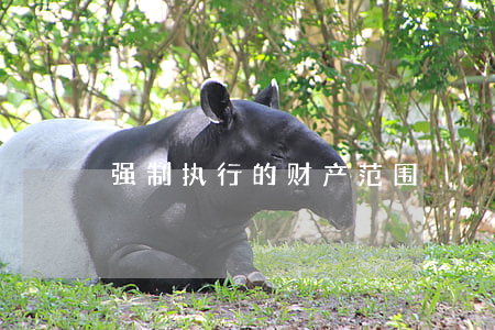 强制执行的财产范围