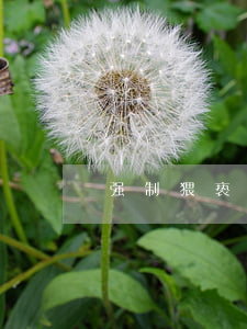 强制猥亵判多少年