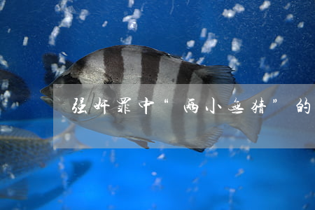 强奸罪中“两小无猜”的法律认定