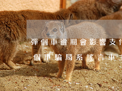 彈個車逾期會影響支付寶信譽(yù)嗎(彈個車騙局系謠言 車主逾期不還款才是真)