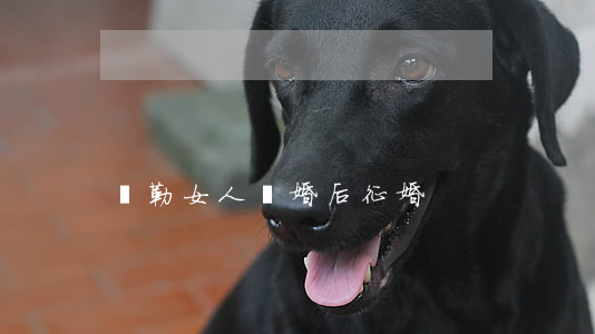 彌勒女人離婚后征婚