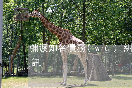 彌渡知名債務(wù)糾紛律師 彌渡法院資訊