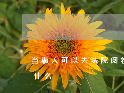 当事人可以去法院阅卷吗(到法院阅卷都需要什么)