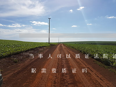 当事人可以质证法院证据吗(庭审后提交的证据需要质证吗)