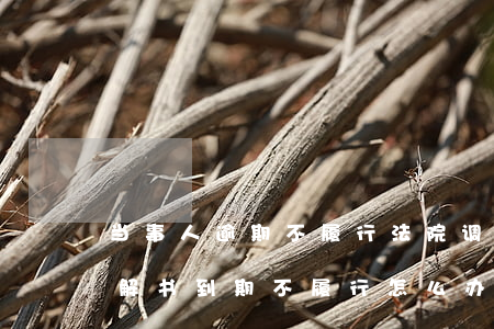 当事人逾期不履行法院调解书-法院下达调解书到期不履行怎么办