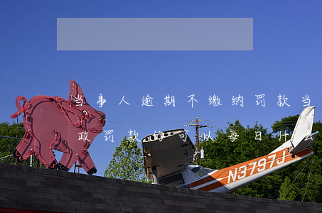 当事人逾期不缴纳罚款(当事人逾期不缴纳行政罚款的可以每日什么)