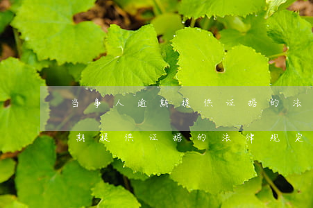 当事人逾期提供证据的法律规定-当事人逾期提供证据的法律规定有哪些