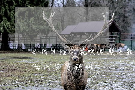 当代年轻人花呗逾期还款(花呗该为年轻人深陷网贷背锅吗)