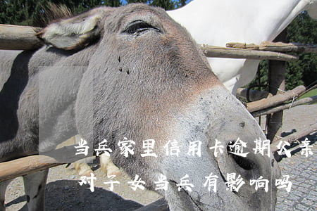 当兵家里信用卡逾期(父亲的信用卡逾期不还对子女当兵有影响吗)