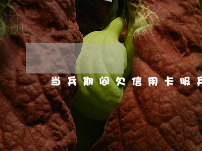 当兵期间欠信用卡 服兵役期间信用卡没还