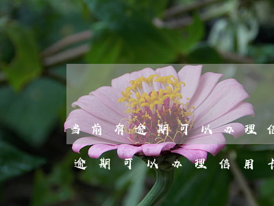 当前有逾期可以办理信用卡吗贴吧-当前有逾期可以办理信用卡吗贴吧论坛