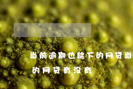 当前逾期也能下的网贷(当前有逾期还可以借的网贷有没有?)