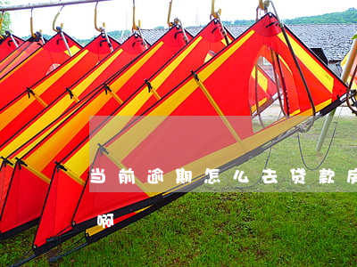 当前逾期怎么去贷款(房子贷款逾期了,怎么办啊)