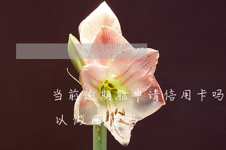 当前逾期能申请信用卡吗贴吧(当前逾期中可以做网贷吗)