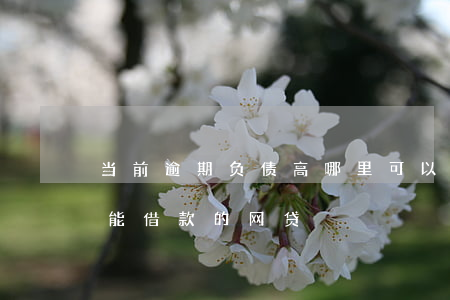 当前逾期负债高哪里可以网贷(当前有逾期还能借款的网贷)