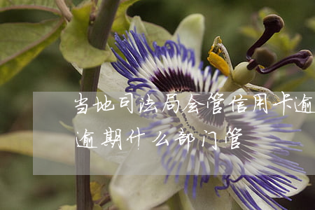 当地司法局会管信用卡逾期的事情吗（信用卡逾期什么部门管）