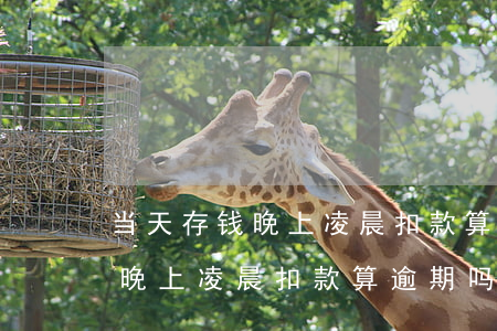 当天存钱晚上凌晨扣款算逾期吗-当天存钱晚上凌晨扣款算逾期吗怎么办