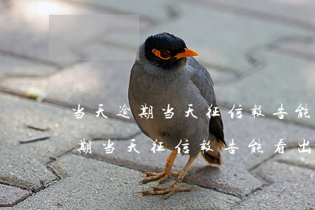 当天逾期当天征信报告能看出来么-当天逾期当天征信报告能看出来么吗