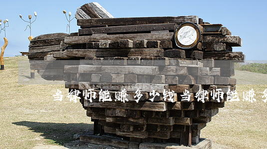 当律师能赚多少钱(当律师能赚多少钱)