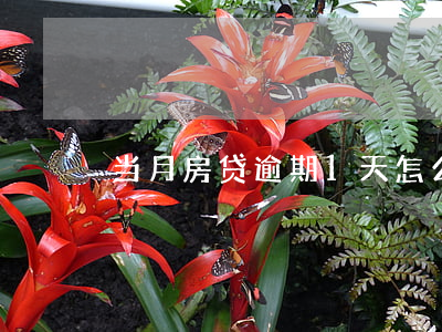 当月房贷逾期1天怎么办(房贷逾期一天)