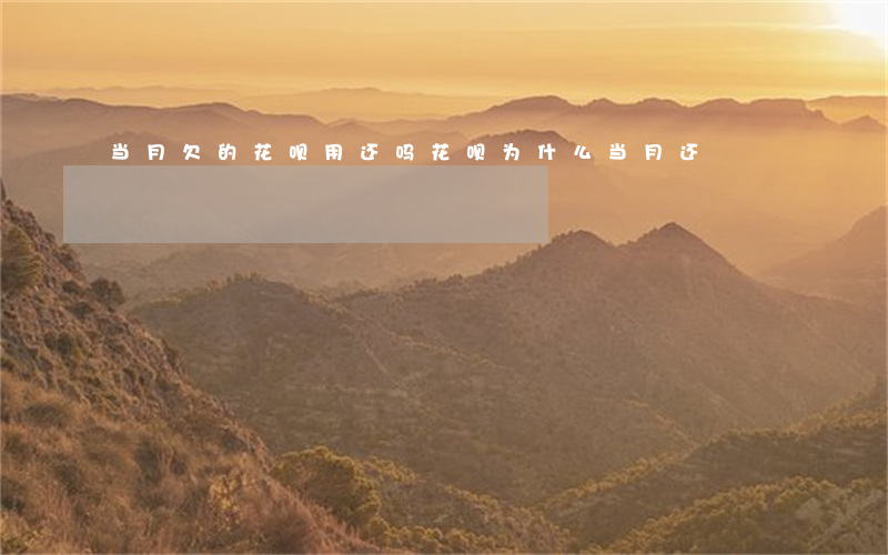当月欠的花呗用还吗(花呗为什么当月还)