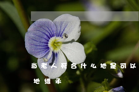 当老人死合什么地是可以继承的(过世老人土地继承)
