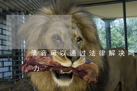 录音可以通过法律解决吗(录音有没有法律效力)