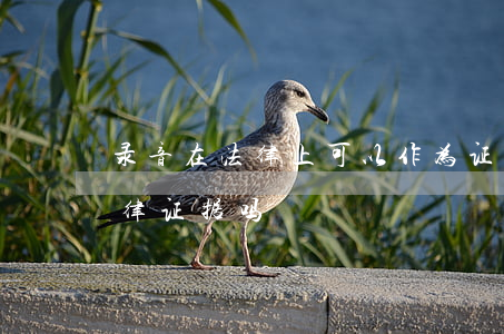 录音在法律上可以作为证据吗(录音能作为法律证据吗)