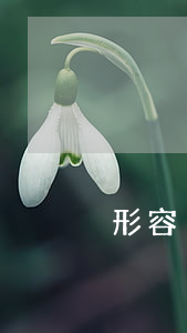 形容別人還不起貸款