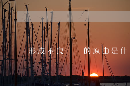 形成不良債權的原由是什么