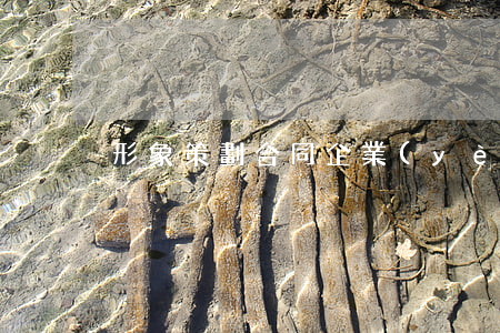 形象策劃合同(企業(yè)形象策劃合同)