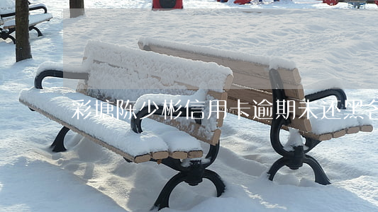 彩塘陈少彬信用卡逾期未还黑名单