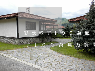 彩票輸了100萬無力償還怎么辦-彩票輸了100萬無力償還怎么辦呢