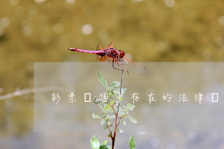 彩票銷售中存在的法律風險