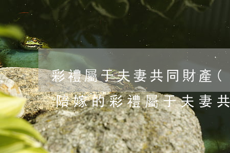 彩禮屬于夫妻共同財產(chǎn)嗎(女方陪嫁的彩禮屬于夫妻共同財產(chǎn)嗎)