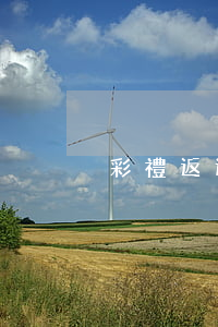 彩禮返還條件