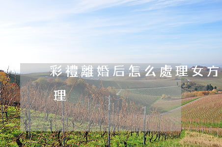 彩禮離婚后怎么處理(女方彩禮離婚后怎么處理)