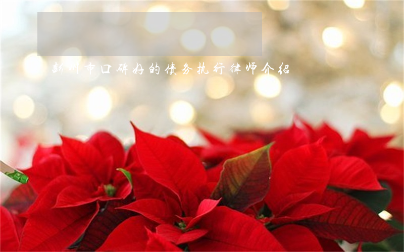 彭州市口碑好的债务执行律师介绍