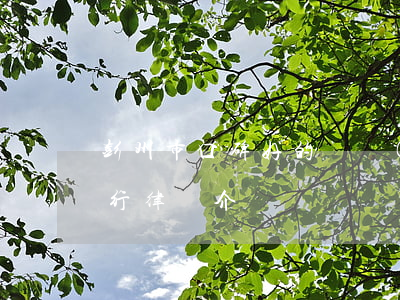 彭州市口碑好的債務(wù)執(zhí)行律師介紹