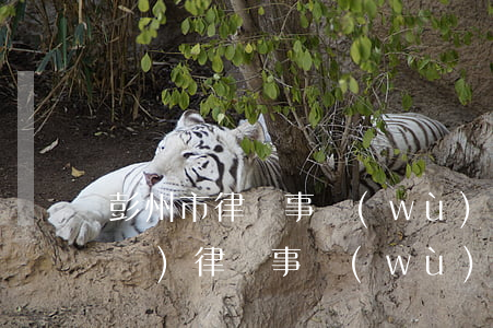 彭州市律師事務(wù)所排名(彭山區(qū)律師事務(wù)所)