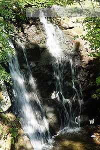 彭飛騰欠網(wǎng)貸多少錢(彭飛騰欠網(wǎng)貸多少錢)