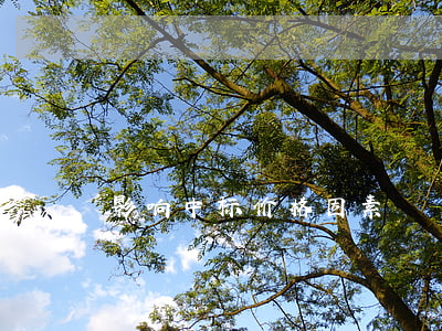 影响中标价格因素