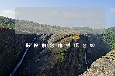 影视剧合作拍摄合同