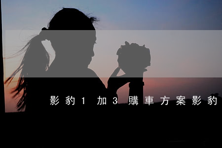 影豹1加3購車方案（影豹1加3利息高嗎）