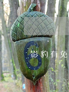 影豹有免息吗（影豹分期免息么）