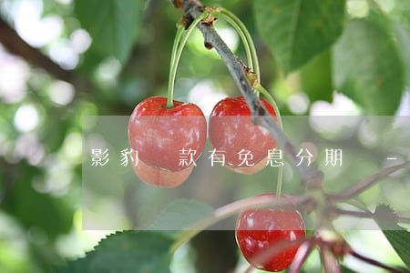 影豹貸款有免息分期嗎-影豹幾年免息